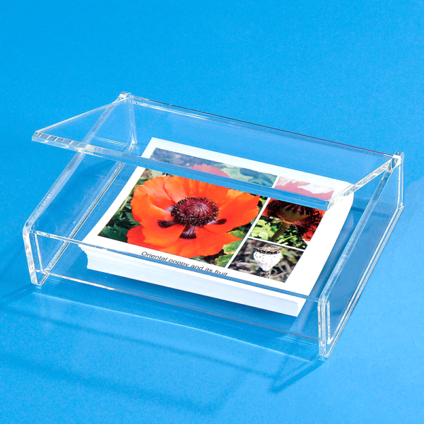 Custom Acrylic Storage Box with Hinged Lid Acrylic Flip Box Display Box - 图片 2
